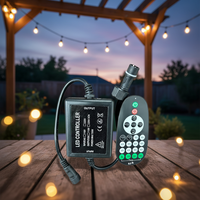 Contrôleur de variateur LED sans fil RF avec fonction de réglage de la luminosité et de la minuterie IP65 pour guirlande lumineuse