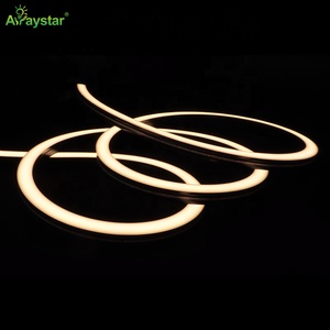 Bên Uốn Cong Điện Áp Cao 220V AC 3 Màu Đen + 1 Trắng Bề Mặt 16*16Mm LED Màu Đen Neon Linh Hoạt Dải Ánh Sáng 12W IP67 Không Thấm Nước - Product Image 5