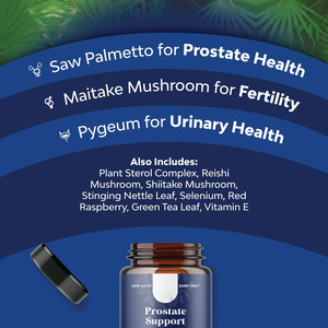 Cápsulas para la Salud de la Próstata OEM, Saw Palmetto, Hierbas Naturales, 90 Cápsulas, Empaque Personalizado para el Bienestar Masculino, Venta al Por Mayor - Product Image 5