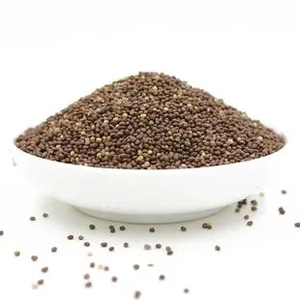 Cung cấp số lượng lớn 100% tinh khiết tự nhiên Trung Quốc tía tô HẠT GIỐNG - Product Image 6