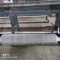 Machine CNC Dingzhou pour la fabrication de grillage hexagonal inversé pour grillage à poulets