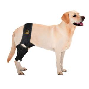 Attelle de genou pour chien en néoprène personnalisée OEM QQgift 2024 avec fermeture éclair pour blessure du ligament croisé, douleur articulaire et musculaire - Product Image 1
