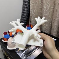 Modelo de Entrenamiento Bronquoscópico - Modelo de Fibrobroncoscopia Pulmonar Nivel 4 - Práctica de Fibroscopia en Nivel 4 Blanco Duro