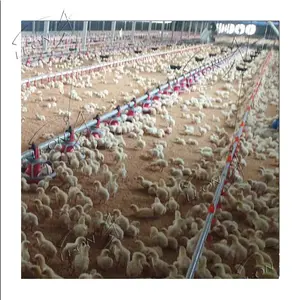 High Quality Complete Automatic Mobile Outdoor Broiler Chicken House