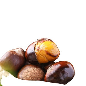 Châtaignes Biologiques Séchées, Produit Phare, Traitement Brut, Vente en Gros Chine, Exportation Alimentaire - Product Image 6