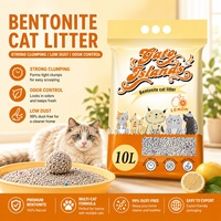 Arena para Gatos de Bentonita con Carbón Activado, Fuerte Control de Olores, 99.9% Libre de Polvo, Arena Mineral Triturada para Hogares con Múltiples Gatos