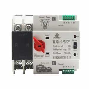 230V mains / generator automatic transfer switch 2p, 100A millisecond level switching, dual power automatic transfer switch