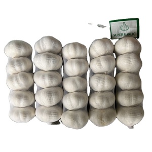 Ajo Fresco de Origen Chino a Precio de Mayoreo, Proveedores de Ajo de Alta Calidad, Empaquetado en Bolsa de Malla de 10 kg - Product Image 4