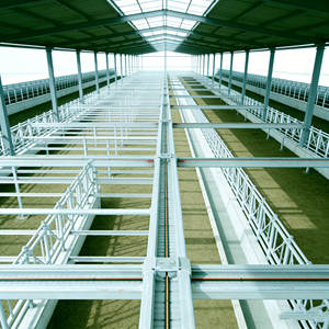 Establos Prefabricados de Acero para Ganado, Caballos y Vacas - Product Image 2