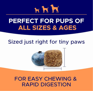 Alivio para Alergias y Picazón en la Piel de Perros, Tratamiento Inmunológico Antipicazón para Perros, Alivio para Picazón y Molestias, Probióticos, Vitaminas, Alergias a la Piel y al Pelaje - Product Image 4