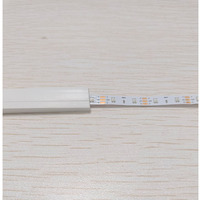 Bande LED flexible à couleurs magiques, éclairage d'ambiance, 5V USB RGB IC, lumière néon 10W, couleur de rêve, bande néon, lumière d'ambiance basse tension