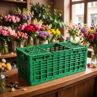 Grande Caisse Pliable Recyclable pour Fruits/Légumes, Panier de Stockage en Plastique PP à Mailles Pliable, Empilable
