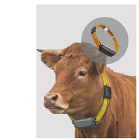 Suivi étanche du collier de bétail LoRaWAN GPS pour le bétail de vache