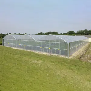 Tunnel agricolo serra pellicola di plastica Multi-span serra per la vendita con sistema di ventilazione