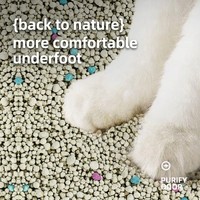 Litière pour chat en bentonite non parfumée, agglomérante rapide, sans poussière, contrôle des odeurs, pour chats sensibles, vente en gros, directement de l'usine