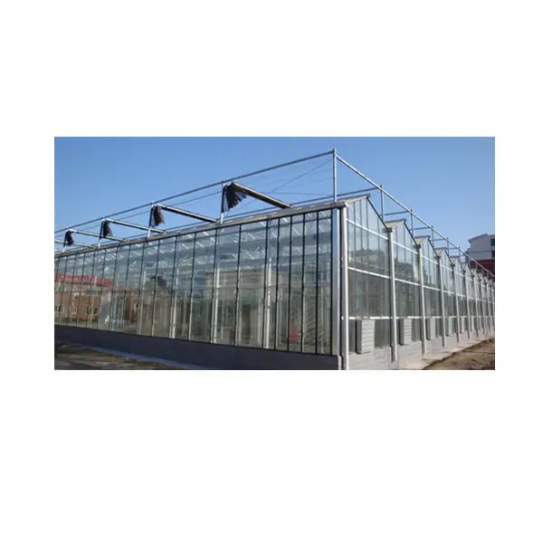 Modern venlo Glass farming greenhouse Multi-Span Commercial Greenhouses Prefab green house