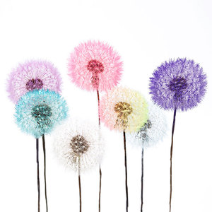 Diente de león de flores secas para manualidades, <span class=keywords><strong>2022</strong></span>, venta al por mayor, 4 cm - Product Image 2