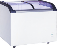 Congelador Comercial para Helados con Puerta de Acceso Directo, 1 Estante, Sin Escarcha, Enfriamiento Directo por Aire, Mecánico/Digital