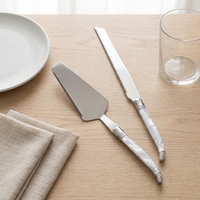 Ensemble de coupe-gâteau professionnel élégant en acrylique transparent avec poignée carrée, couteau à pain dentelé multi-usages pour mariage