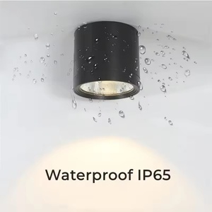 Plafonnier LED 220V, <span class=keywords><strong>spots</strong></span> LED encastrés, luminaires de plafond intérieurs, luminaires de chambre, <span class=keywords><strong>lustres</strong></span> LED, <span class=keywords><strong>spots</strong></span> LED - Product Image 4