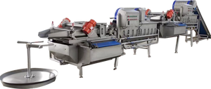 Máquina Industrial para Lavar Hojas de Ensalada 500kg/h - Product Image 6