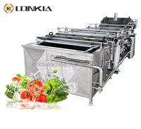 Automatische Blancheerapparatuur Fruit Groentechips Groene Bonen Mango-Tomatenblancheermachine