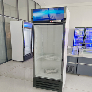 Tủ đông trưng bày đứng, một nhiệt độ, thương mại, có 1, 2 hoặc 3 cửa kính - Product Image 5