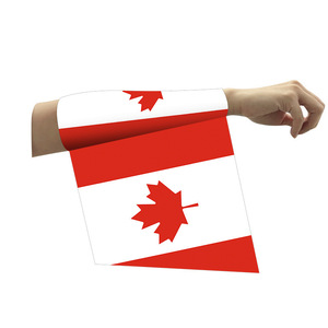 Sciarpa da Calcio e Bandiera per Auto in Tessuto Poliestere con Motivo Personalizzabile 2026 per Squadre USA - Product Image 4