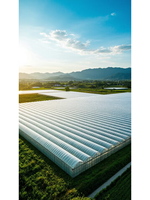 Serre multi-travées en plastique durable, grande taille, prix usine, qualité supérieure, vente chaude, serre multi-travées personnalisée