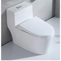 WC en céramique monobloc, design moderne et épuré, pour usage domestique et hôtelier, à poser au sol, avec évacuation arrière, désodorisant, grand diamètre