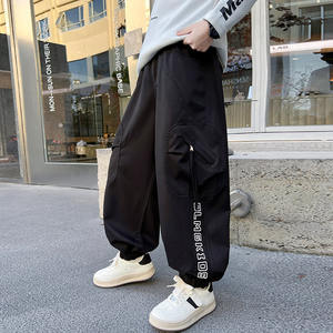 Spot personnalisé en gros garçons automne et hiver saison à la mode polyvalent <span class=keywords><strong>pantalon</strong></span> <span class=keywords><strong>cargo</strong></span> ample - Product Image 2