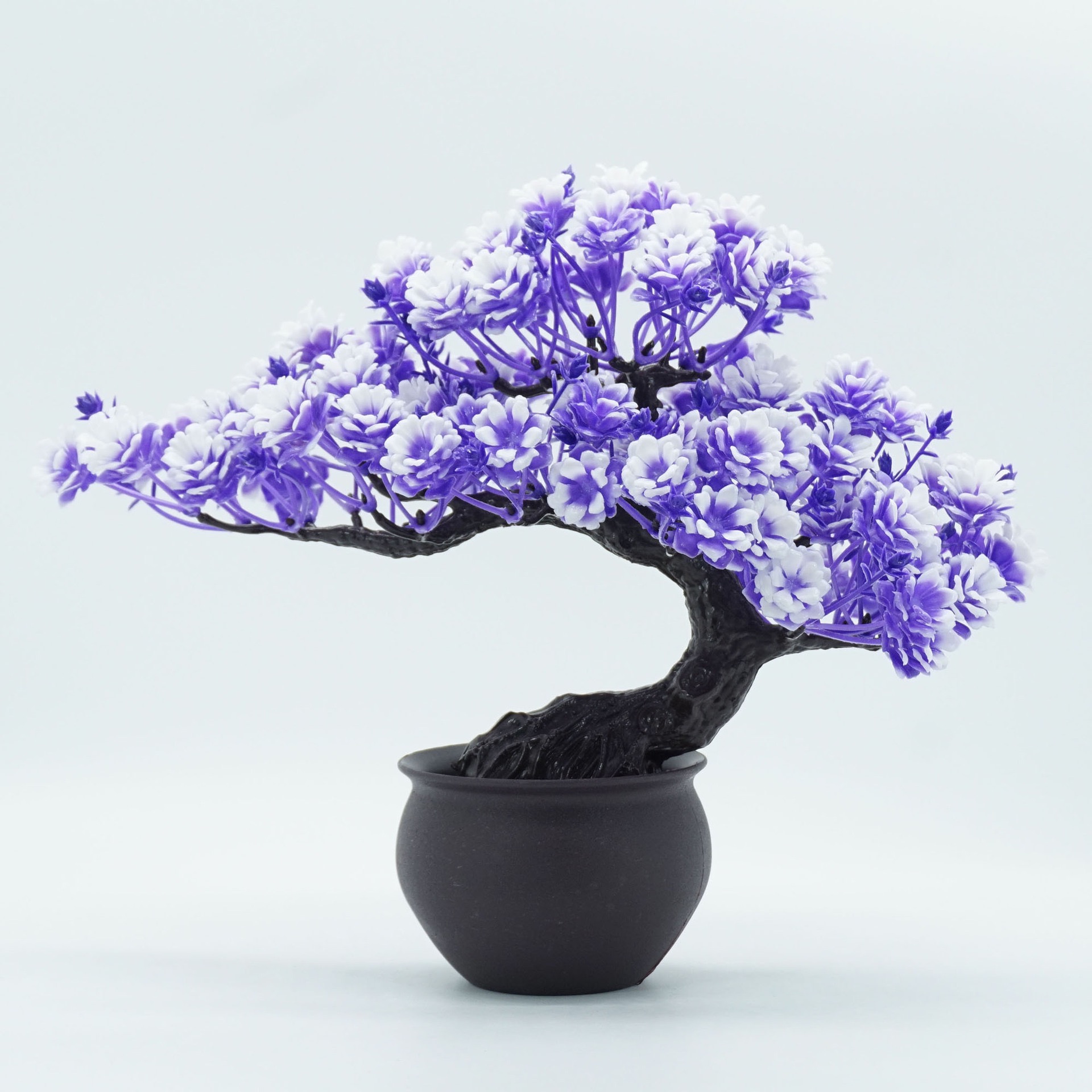 Púrpura azul