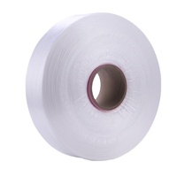 Fil textile de filament de polyester de haute qualité FDY 75D/72F SD RW AA GRADE 100%