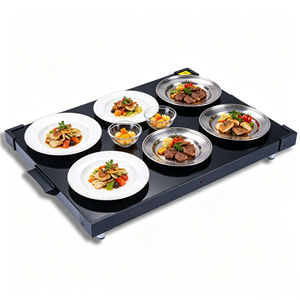 New Arrival Commercial Food Warmer Tray Coil Adjustable Temperature Tempered Glass Board 500W Manual Operation Large Square - Product Image 1