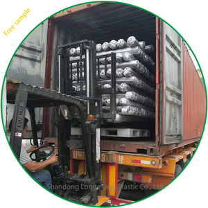 <span class=keywords><strong>Film</strong></span> Plastico Agricolo per Pacciamatura 25 Micron con Fori per Cipolle e Aglio, Colore Argento Nero, 4 Piedi x 400 Metri - Product Image 6