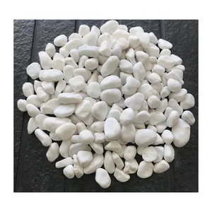 high quality DL-001 snow white for landscaping and Decorative Garden pebbles stone tumbled