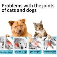 Comprimés VitaFit pour le soutien des articulations des chiens et des chats, avec de l'calcium et de la chondroïtine, absorption rapide, 60g pour animaux de compagnie