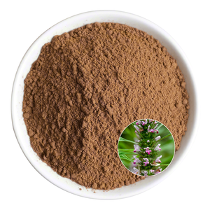 天然98% マザーワートハーブエキス粉末スタキドリン20:1マザーワートエキス - Product Image 2