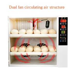 <span class=keywords><strong>Mini</strong></span> Incubadora de Huevos para 60 Aves de Corral, Precio de Venta en Zimbabue - Product Image 6