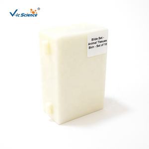 מדע רפואי עבור ארגון בתי ספר תיכוניים מיקרוסקופיית הכנה ולימוד שקופיות - Product Image 4