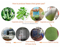 Industriële vriesdroogmachine, automatische commerciële lyofilisator voor vlees, fruit, voedsel en groenten, vacuümdroging