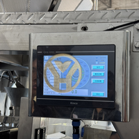 Machine à emballer automatique de sac de casse-croûte de YH pour l'ensacheuse de croustilles