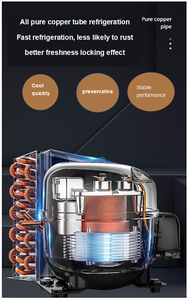 Vitrina Comercial para Helados, Congelador de Congelación Rápida, Refrigerador para Postres y Paletas Frescas - Product Image 4