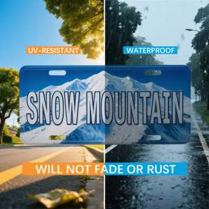 Placa decorativa de coche especial de licencia de número personalizada de alta calidad con 25 años de experiencia y certificado ISO - Product Image 4