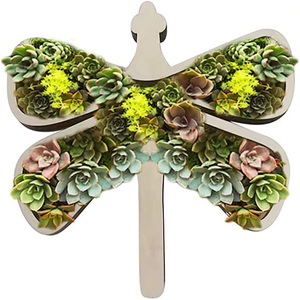 <span class=keywords><strong>Vasi</strong></span> <span class=keywords><strong>per</strong></span> <span class=keywords><strong>Piante</strong></span> <span class=keywords><strong>Grasse</strong></span> a Forma di Tartaruga in Legno, Mini <span class=keywords><strong>Vasi</strong></span> <span class=keywords><strong>per</strong></span> Succulente e Bonsai, Vendita all'Ingrosso - Product Image 1