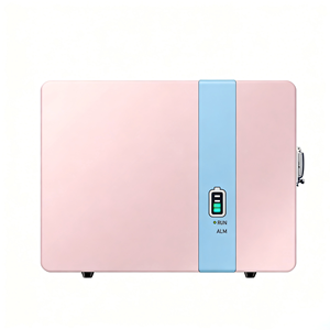 <b>48V</b> 5kWh Lithium Iron Phosphate <b>Battery</b> with Advanced BMS Protection for Mobile Applications, 51.2V Home Solar System - Product Image 2
