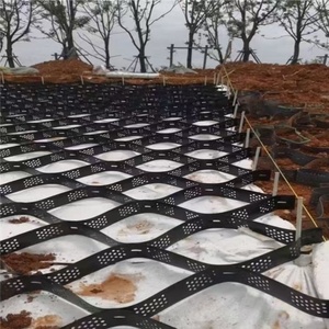 Stabilisateur de <span class=keywords><strong>gravier</strong></span> HDPE Geocell Fabricant <span class=keywords><strong>Prix</strong></span> Geocell Ground Grid Terres agricoles Trottoir <span class=keywords><strong>Allée</strong></span> - Product Image 3