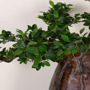 ต้นไม้ปลอมจำลองสีเขียวต้นไม้ปลอมขนาดใหญ่ต้นไม้ใหญ่จำลองพืชแอฟริกา - Product Image 5