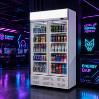 Réfrigérateur à boissons en gros avec verre Low-E, éclairage LED, température 2-8°C, idéal pour supermarchés, restaurants, hôtels et bars