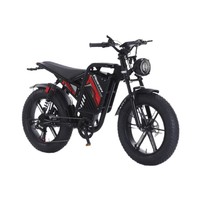 Vélo Électrique Urbain à Succès Commercial 48V 1000W Double Moteur Pneus Larges E-bike Sans Balais Double Suspension Pneus Neige Tout-Terrain Batterie Lithium